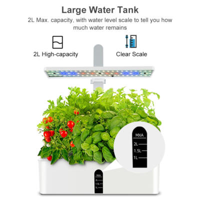 Hydroponic Herb Kit